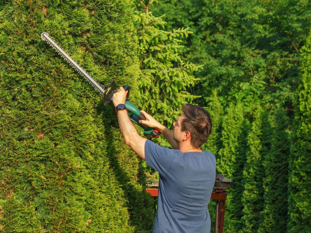A landscaper trimming hedges, one of the trades Dam AI serves